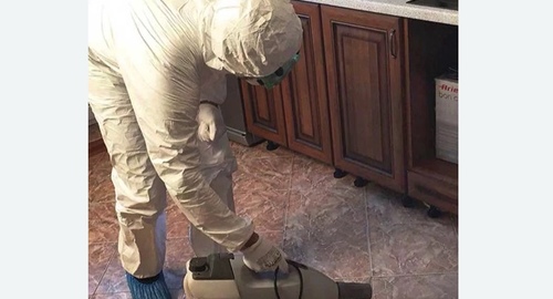 Уничтожение тараканов в квартире. Ульяновск